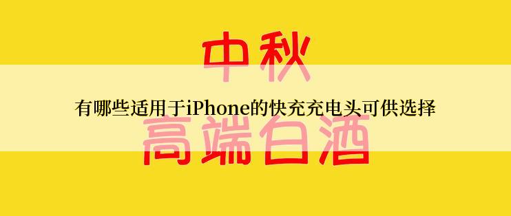 有哪些适用于iPhone的快充充电头可供选择