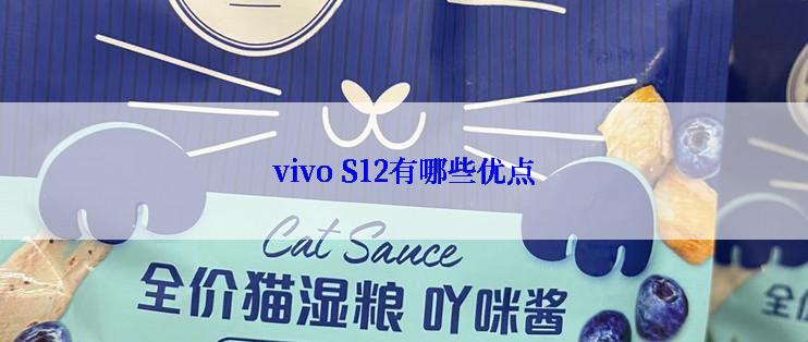 vivo S12有哪些优点