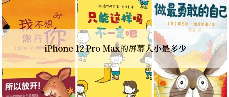  iPhone 12 Pro Max的屏幕大小是多少