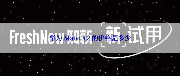 华为 Mate X2 的价格是多少