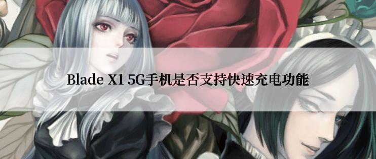 Blade X1 5G手机是否支持快速充电功能