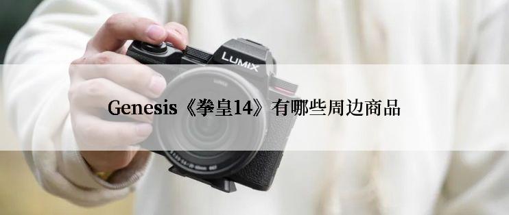 Genesis《拳皇14》有哪些周边商品