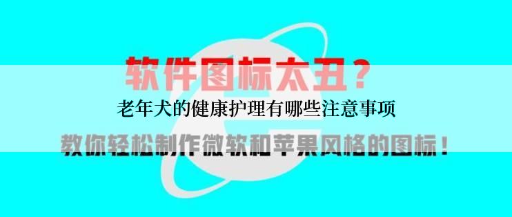 老年犬的健康护理有哪些注意事项