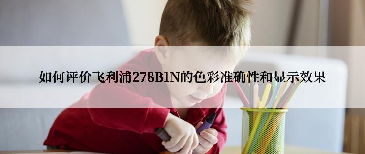 如何评价飞利浦278B1N的色彩准确性和显示效果