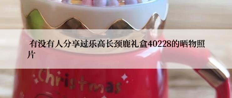  有没有人分享过乐高长颈鹿礼盒40228的晒物照片