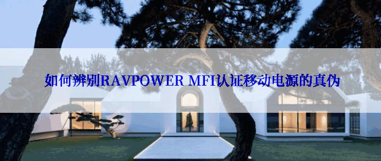  如何辨别RAVPOWER MFI认证移动电源的真伪