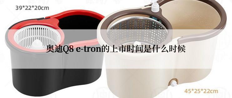 奥迪Q8 e-tron的上市时间是什么时候