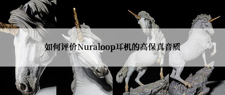 如何评价Nuraloop耳机的高保真音质