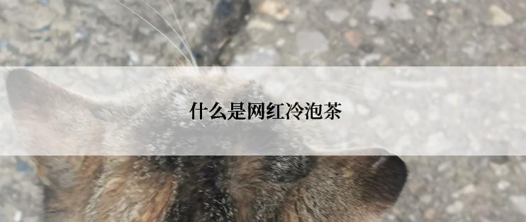  什么是网红冷泡茶