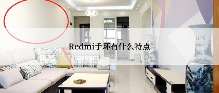 Redmi手环有什么特点