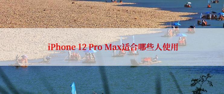  iPhone 12 Pro Max适合哪些人使用