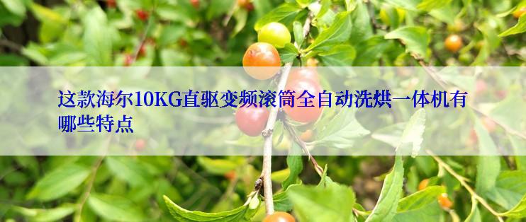 这款海尔10KG直驱变频滚筒全自动洗烘一体机有哪些特点