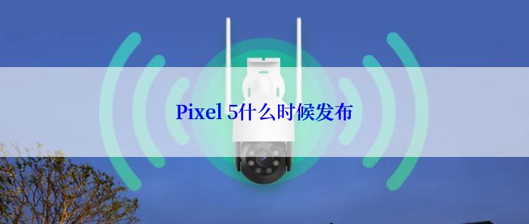 Pixel 5什么时候发布