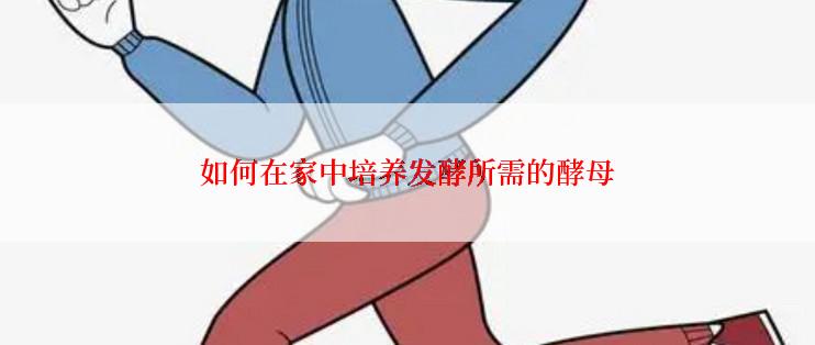 如何在家中培养发酵所需的酵母