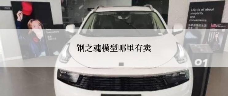 钢之魂模型哪里有卖