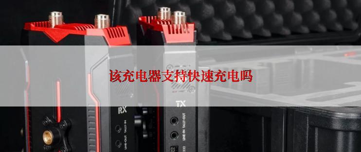 该充电器支持快速充电吗