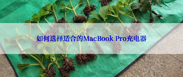 如何选择适合的MacBook Pro充电器