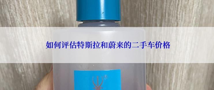  如何评估特斯拉和蔚来的二手车价格