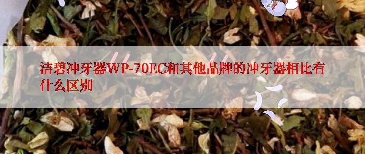 洁碧冲牙器WP-70EC和其他品牌的冲牙器相比有什么区别