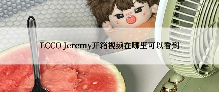 ECCO Jeremy开箱视频在哪里可以看到