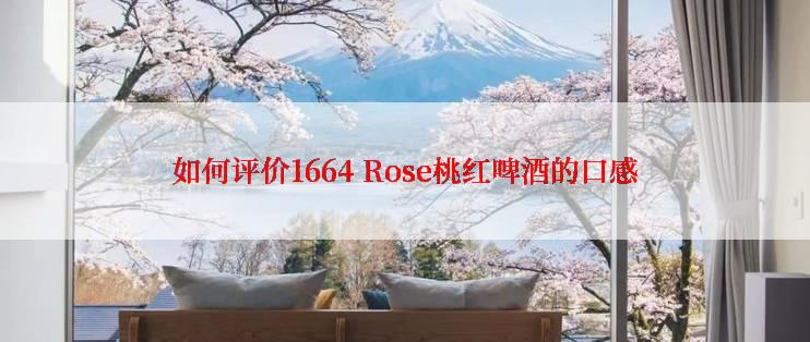 如何评价1664 Rose桃红啤酒的口感