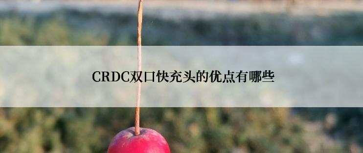  CRDC双口快充头的优点有哪些