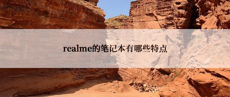 realme的笔记本有哪些特点