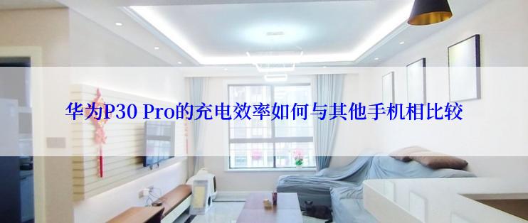 华为P30 Pro的充电效率如何与其他手机相比较