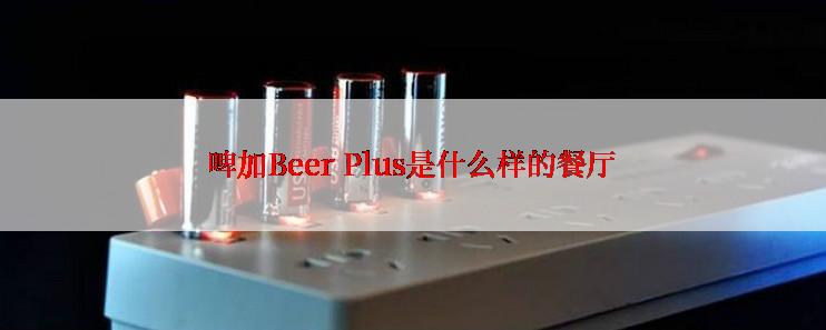 啤加Beer Plus是什么样的餐厅