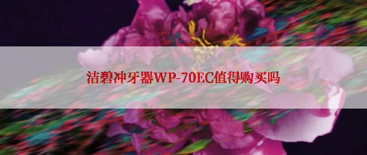 洁碧冲牙器WP-70EC值得购买吗