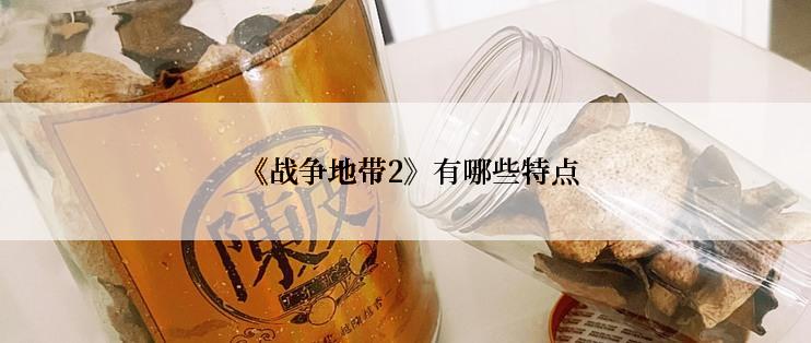  《战争地带2》有哪些特点