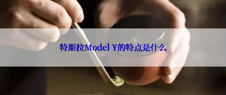 特斯拉Model Y的特点是什么