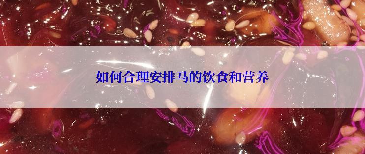 如何合理安排马的饮食和营养