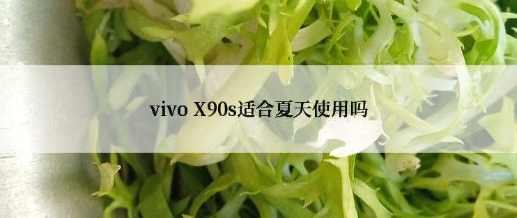 vivo X90s适合夏天使用吗