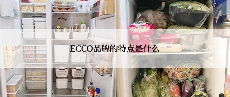 ECCO品牌的特点是什么