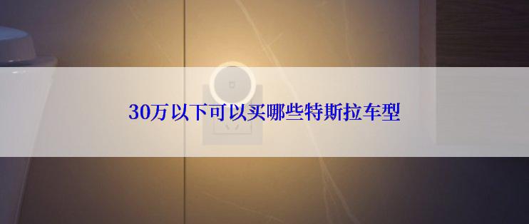 30万以下可以买哪些特斯拉车型