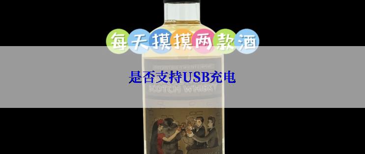 是否支持USB充电