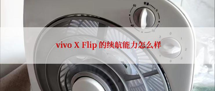  vivo X Flip 的续航能力怎么样