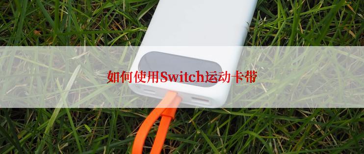 如何使用Switch运动卡带