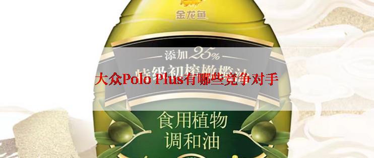 大众Polo Plus有哪些竞争对手