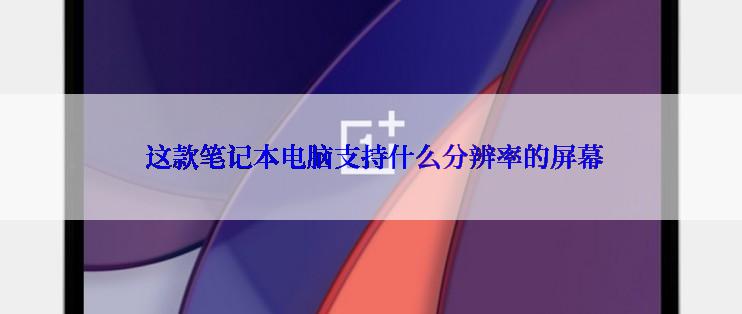  这款笔记本电脑支持什么分辨率的屏幕