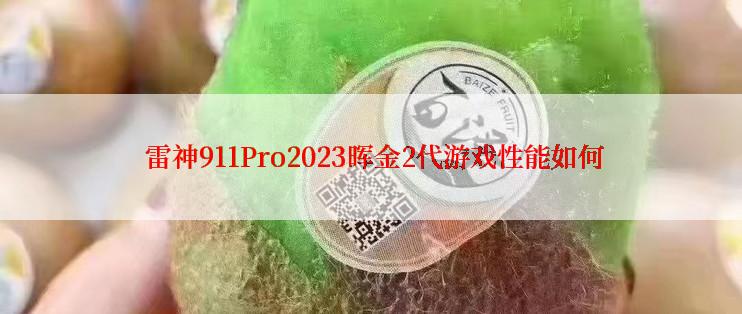  雷神911Pro2023晖金2代游戏性能如何