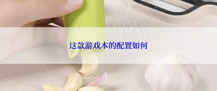 这款游戏本的配置如何