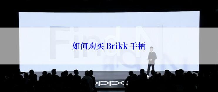 如何购买 Brikk 手柄