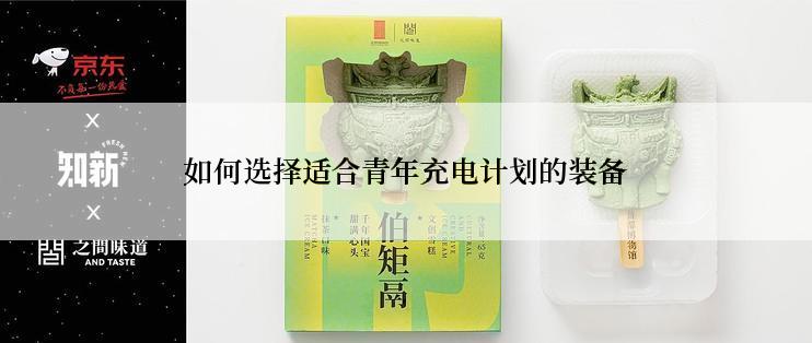 如何选择适合青年充电计划的装备