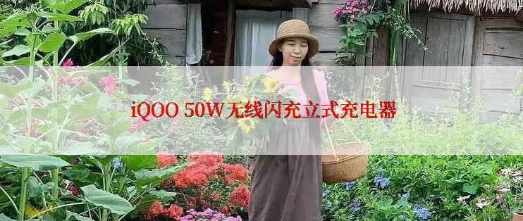  iQOO 50W无线闪充立式充电器