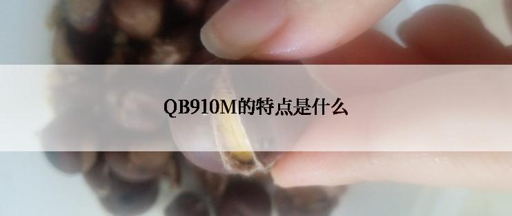 QB910M的特点是什么