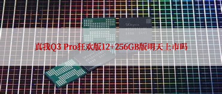 真我Q3 Pro狂欢版12+256GB版明天上市吗