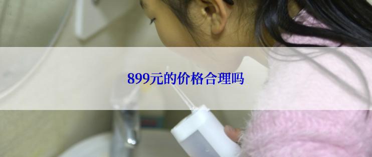 899元的价格合理吗