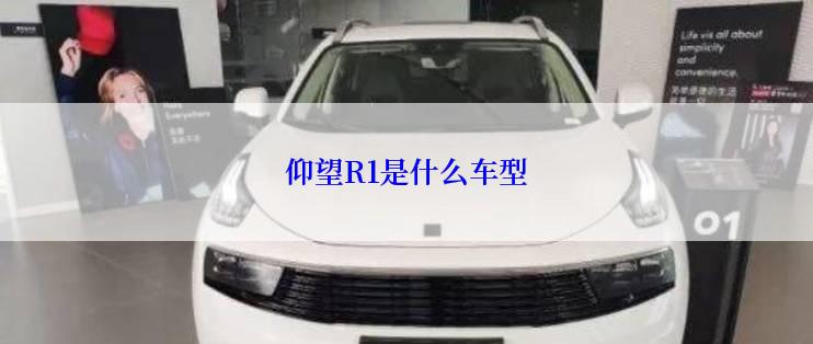 仰望R1是什么车型